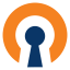 Single file config: options + key + certificate. Optimized for maximum bandwidth. 